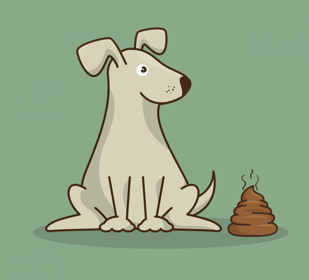 How to clean dog poop out of carpet » Remove Any Stains