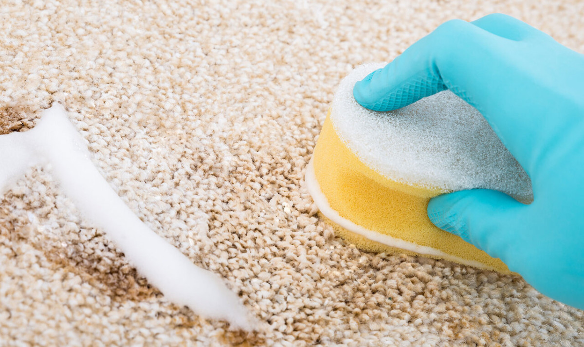 How to Remove Yogurt Stains on the Carpet » Remove Any Stains
