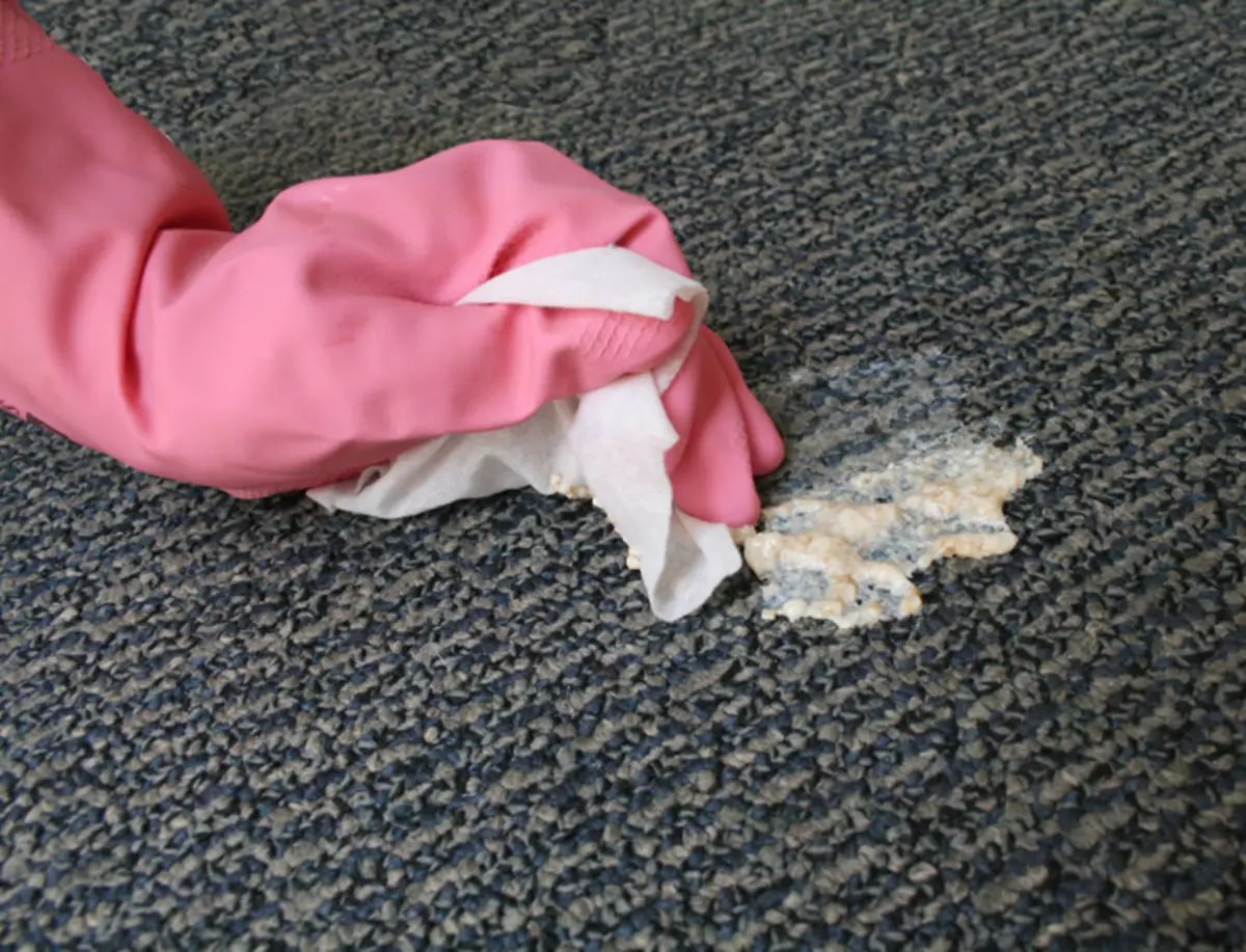 How to clean vomit from carpet » Remove Any Stains