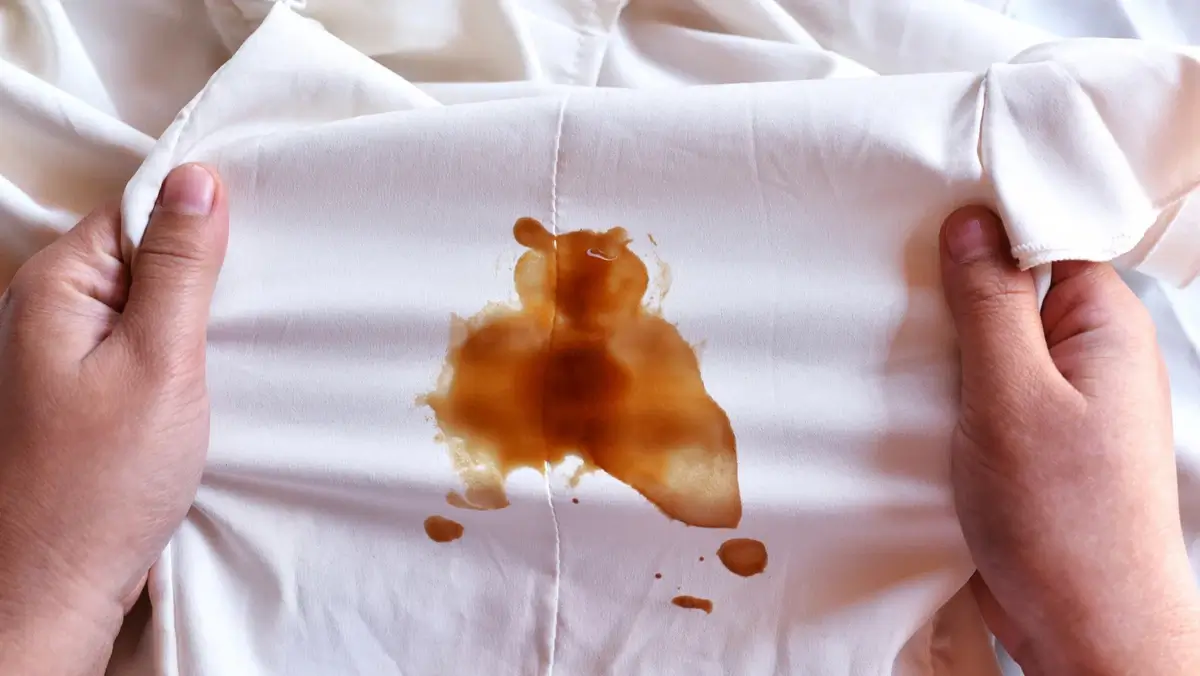 How to get BBQ sauce out of clothes » Remove Any Stains